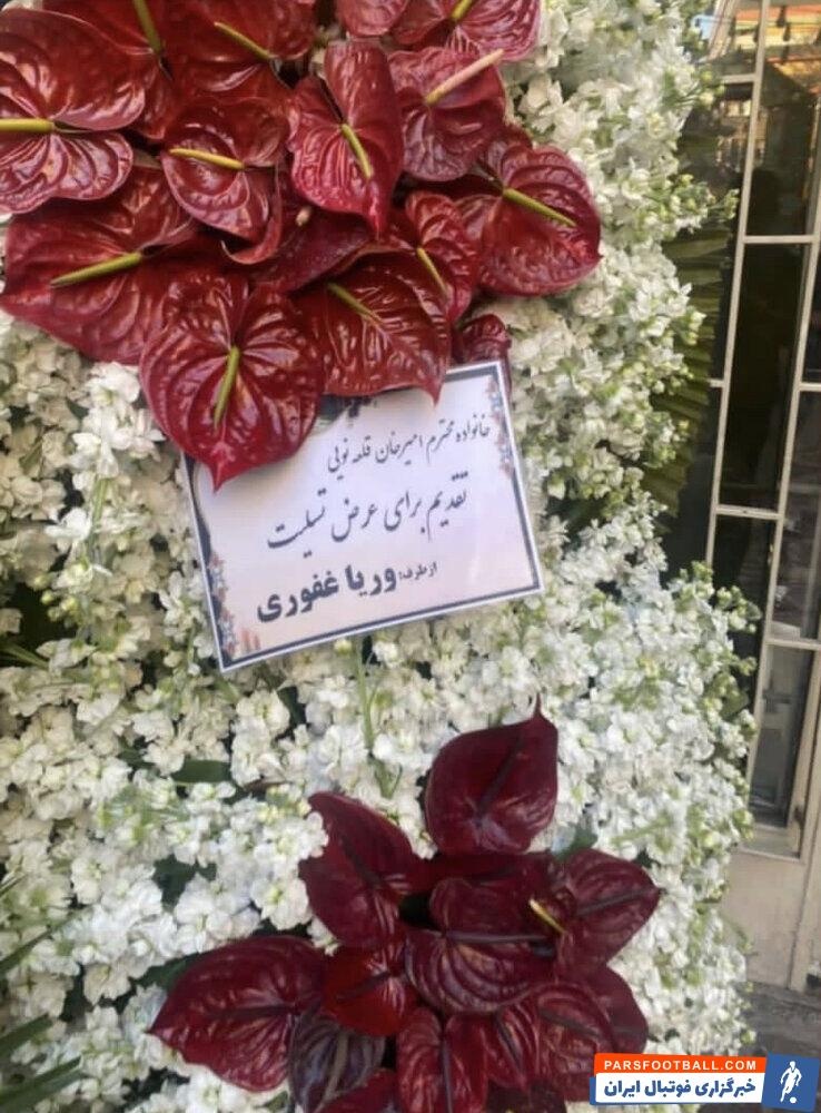 تاج گل وریا برای امیرخان + عکس