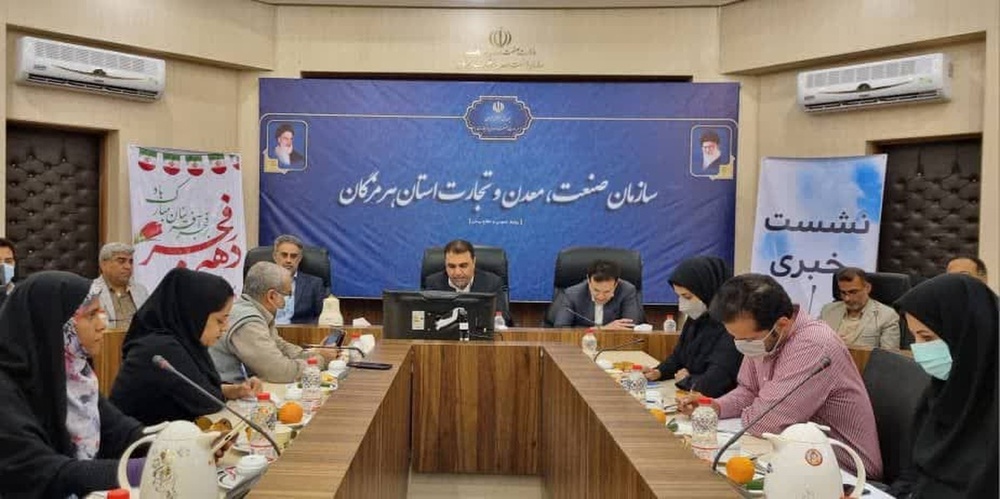 رونمایی از ۶۶ طرح صنعتی و معدنی در هرمزگان