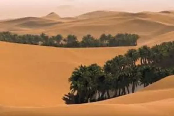 مجوز معدن کاری در بیابان لوت داده نمی شود