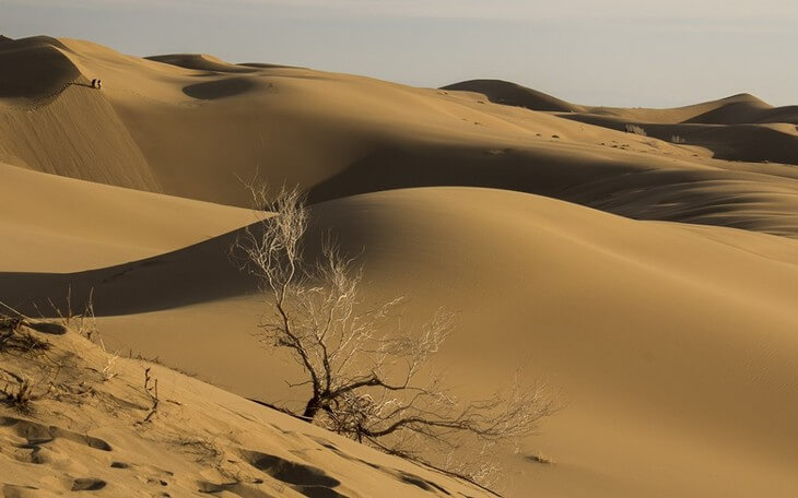 معدن کاران گرفتار در کویر طبس، نجات یافتند