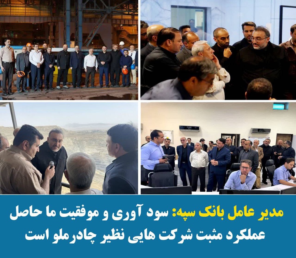 سود آوری و موفقیت ما حاصل عملکرد مثبت شرکت هایی نظیر چادرملو است